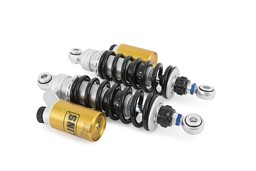 Zeige Details für HD 219 Twin Shocks Bild von HD 219 Twin Shocks
